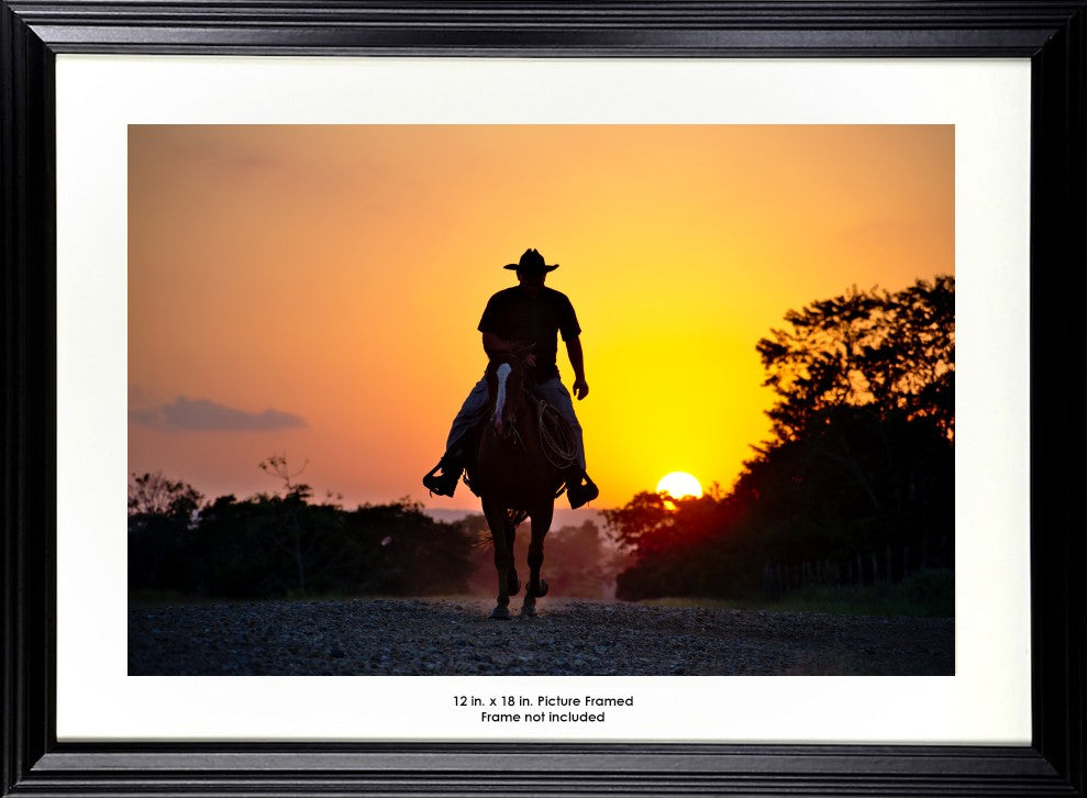 A Horse Rider during Sunset