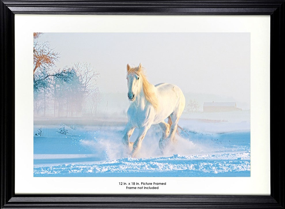 Stallion in the Snow