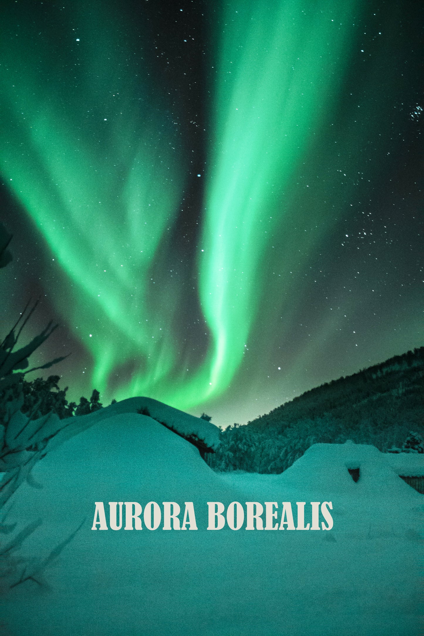 Aurora Borealis During Winter