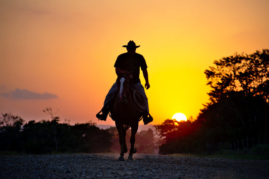A Horse Rider during Sunset