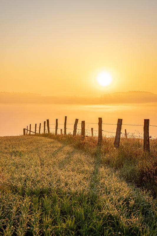 Foggy Sunset